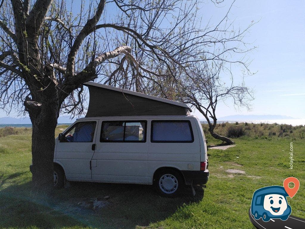 Kuşadası Zeytinköy Kamp Alanı - Selçuk, İzmir, foto 1
