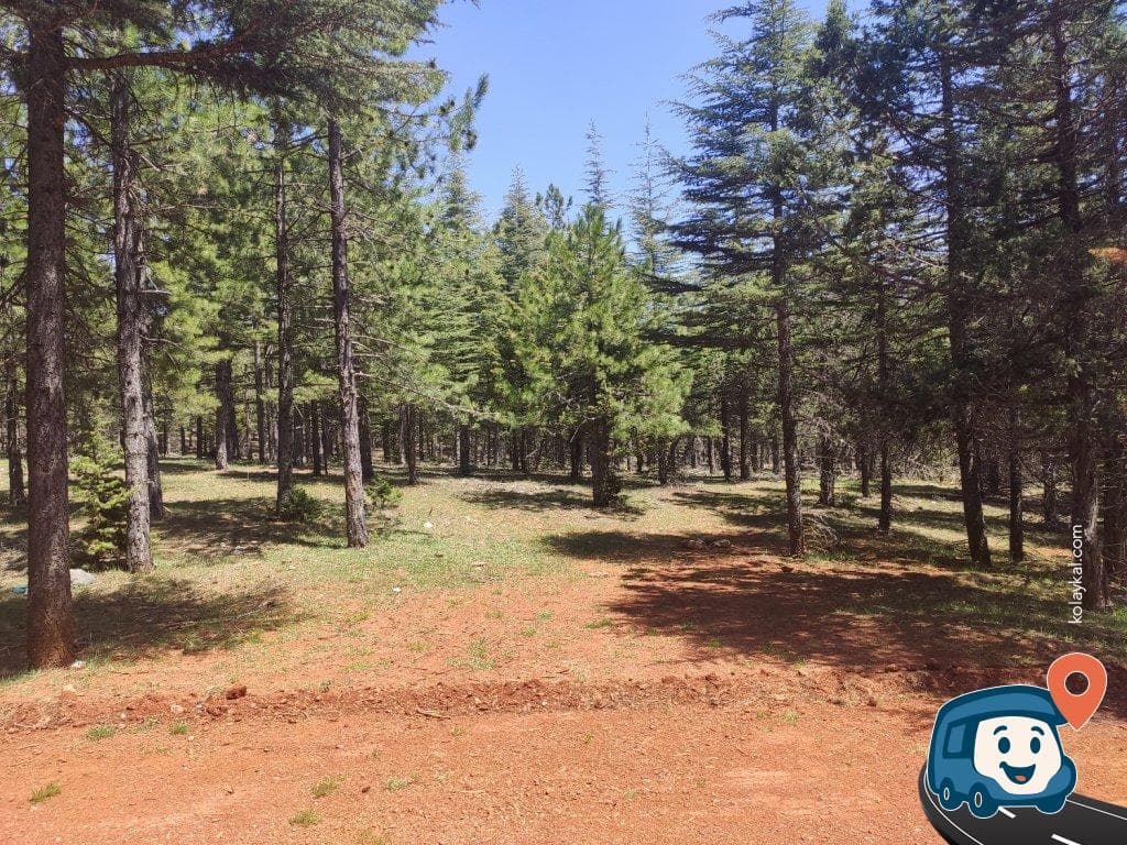 Otoyol Kenarı Mola Yeri Kısa Süreli Konaklama - Pozantı, Adana, foto 2