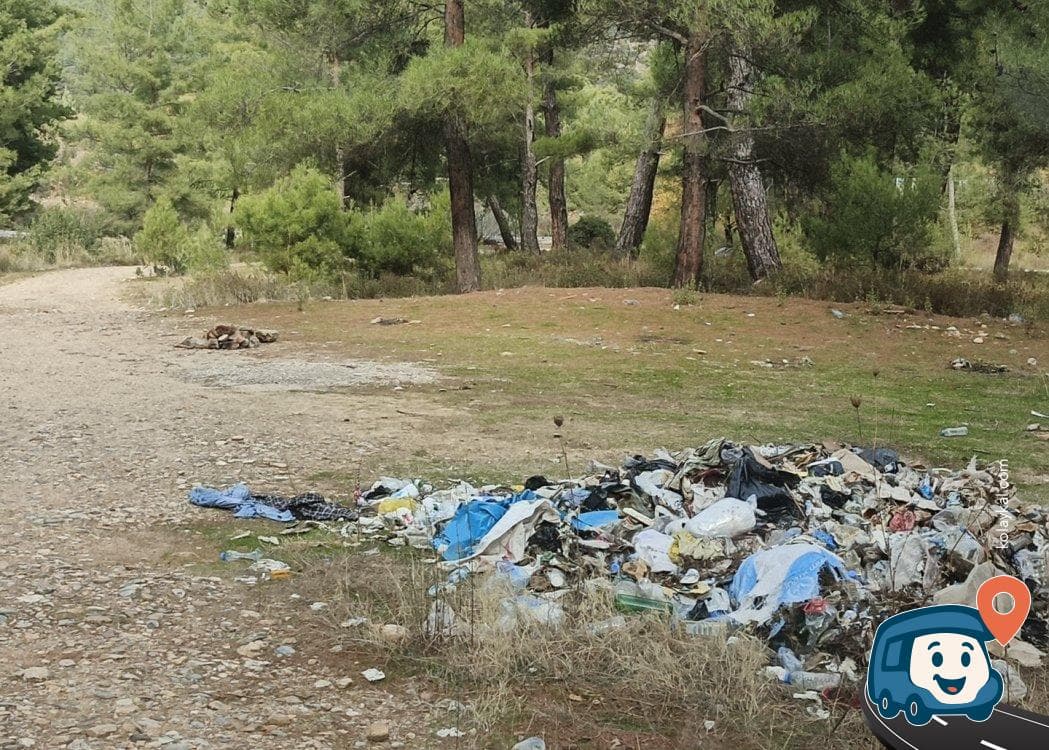 Otoyol Kenarı Ormanlık Alan Kamp ve Dinlenme Noktası - Milas, Muğla, foto 4