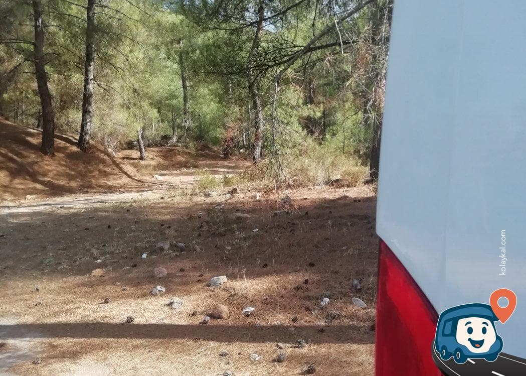 Otoyol Kenarı Ormanlık Alan Kamp ve Dinlenme Noktası - Milas, Muğla, foto 3