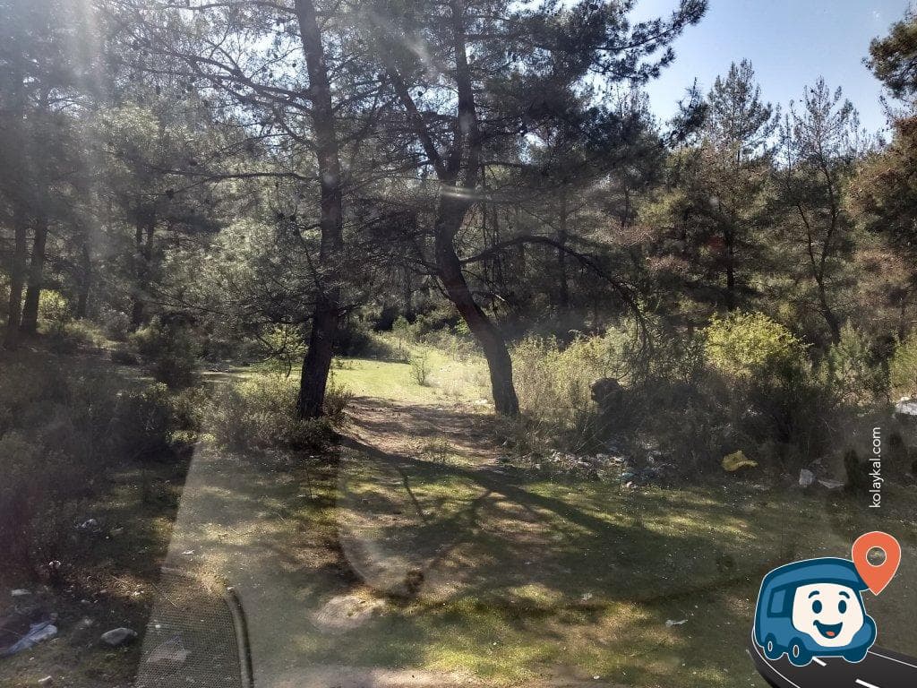 Otoyol Kenarı Ormanlık Alan Kamp ve Dinlenme Noktası - Milas, Muğla, foto 1