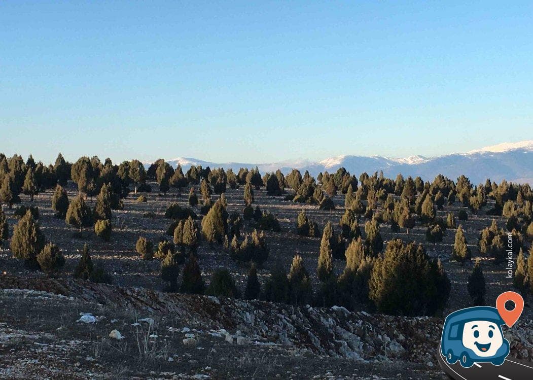 Taş Ocağı Manzaralı Kamp Alanı - Tavşanlı, Kütahya, foto 3