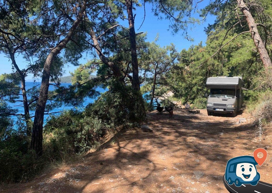 Çam Korusu - Menteşe, Muğla, foto 3