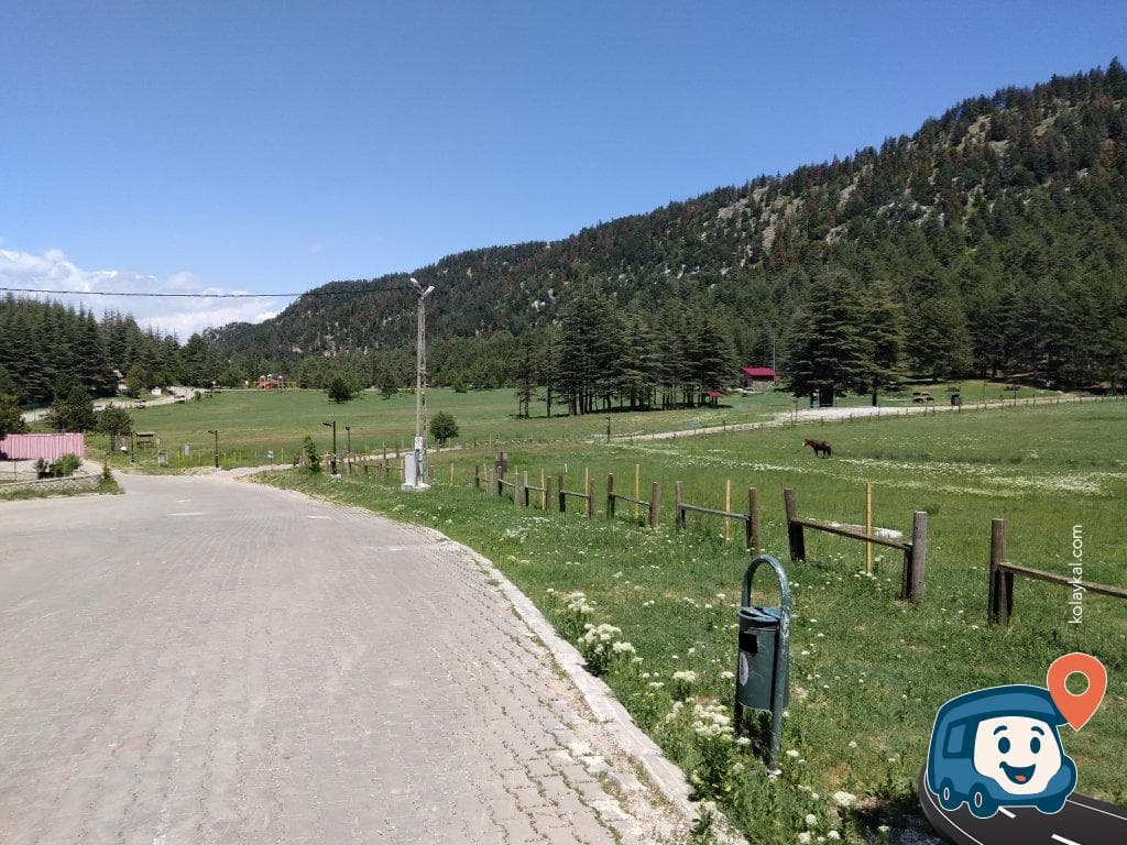 Başkonuş Yaylası - Onikişubat, Kahramanmaraş, foto 1