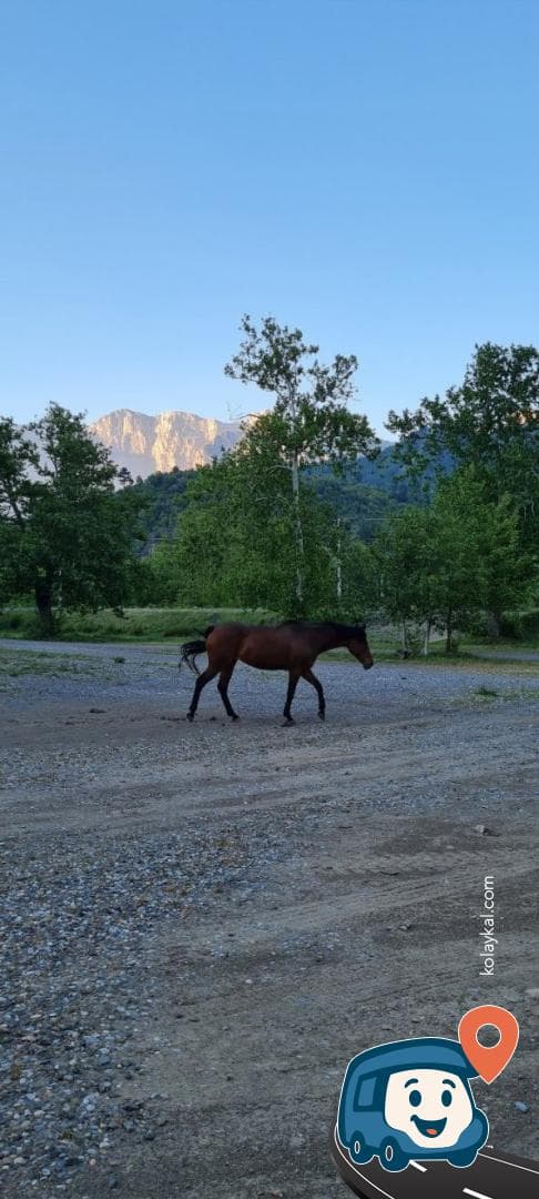 Belemedik Milli Parkı Kamp Alanı - Pozantı, Adana, foto 1