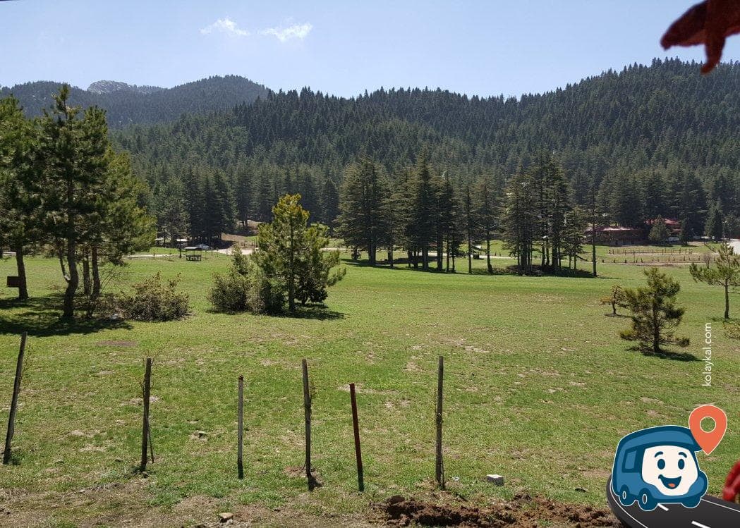 Başkonuş Yaylası - Onikişubat, Kahramanmaraş, foto 4