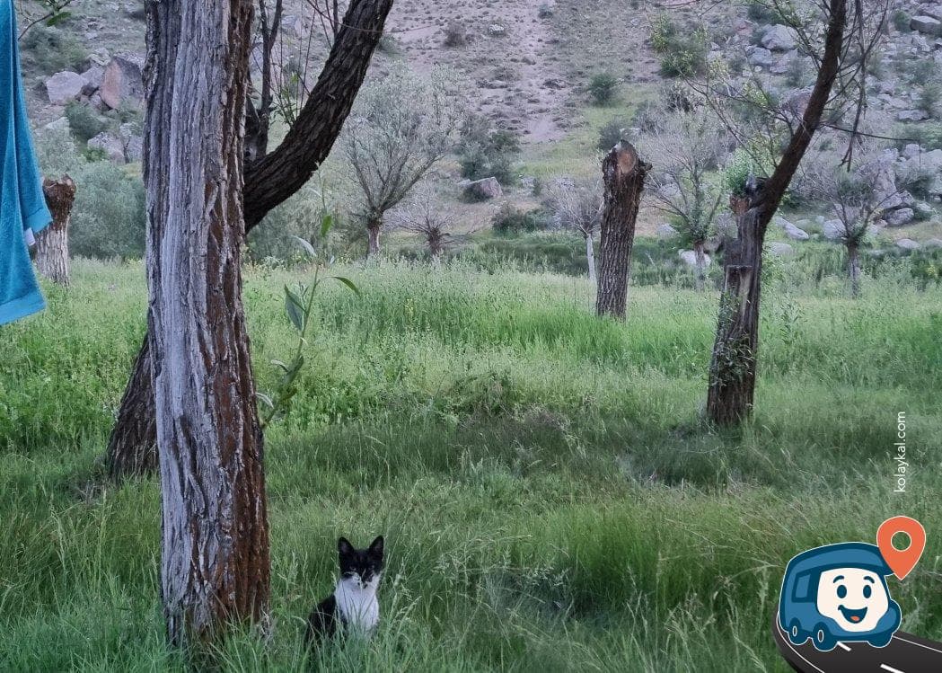 Belisırma Vadisi Kamp ve Karavan Alanı - Güzelyurt, Aksaray, foto 5