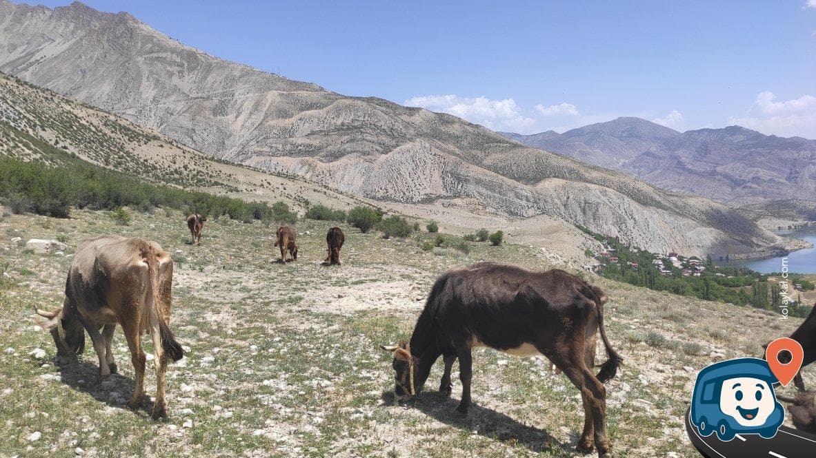 Tortum Gölü Üzerinde Vahşi Kamp Alanı - Uzundere, Erzurum, foto 4