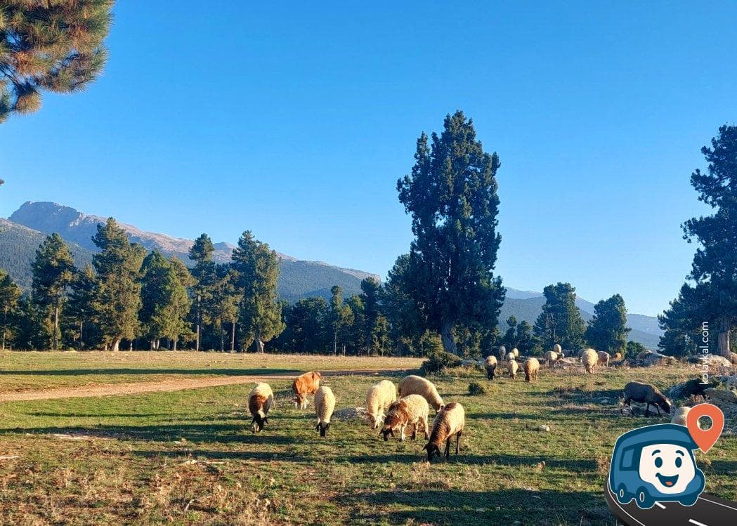 Toros Dağları Kamp Alanı - Çamlıyayla, Mersin, foto 3