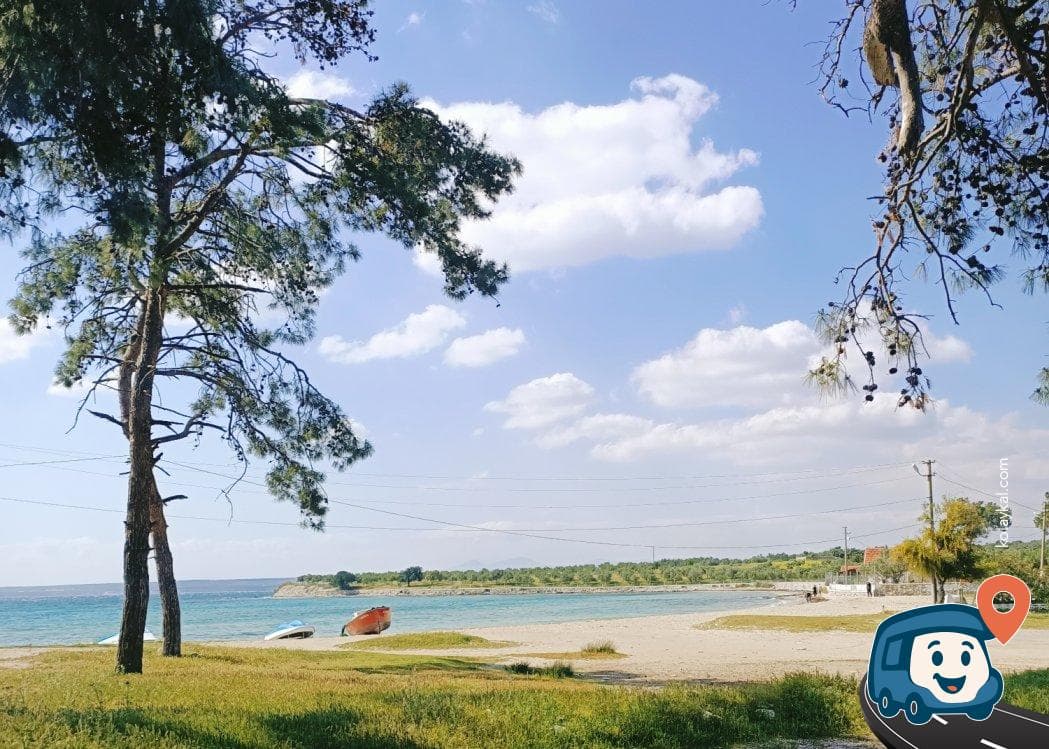 Haydar Koyu Kamp Alanı - Milas, Muğla, foto 2