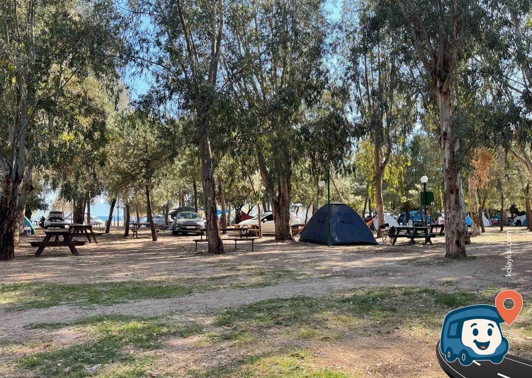 Gümüldür Tabiat Parkı Kamp Alanı - Menderes, İzmir, foto 2
