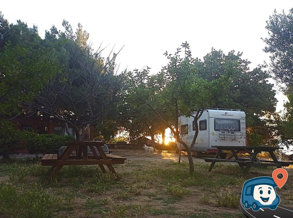 Agora Camping - Ezine, Çanakkale, foto 8