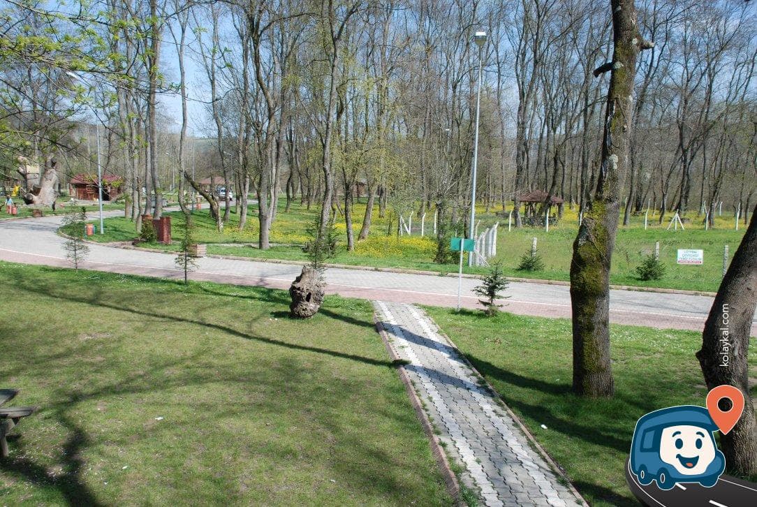 Çaycuma Kent Ormanı - Zonguldak, foto 3