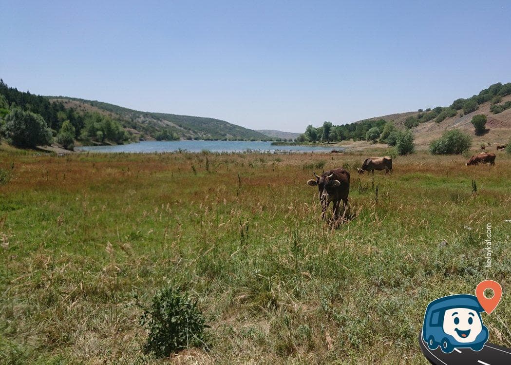 Hirfanlı Baraj Gölü Kamp Alanı - Yozgat Merkez, Yozgat, foto 4