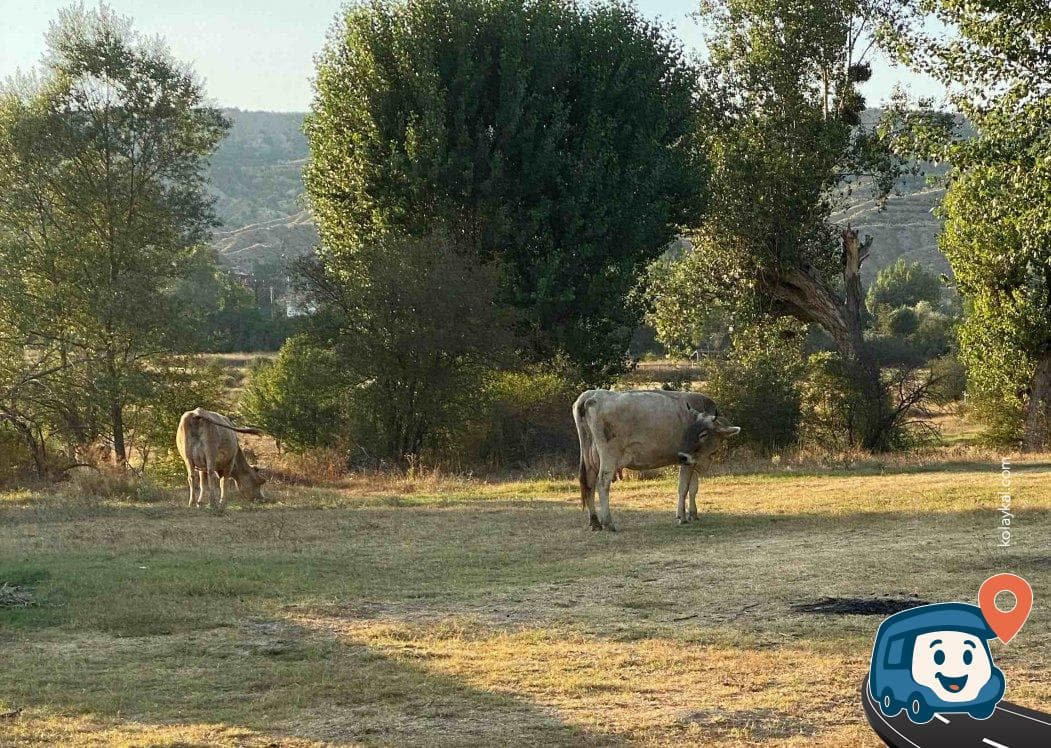 Çankırı Ilgaz Ankara İstanbul Yolu Kamp ve Dinlenme Noktası, foto 2