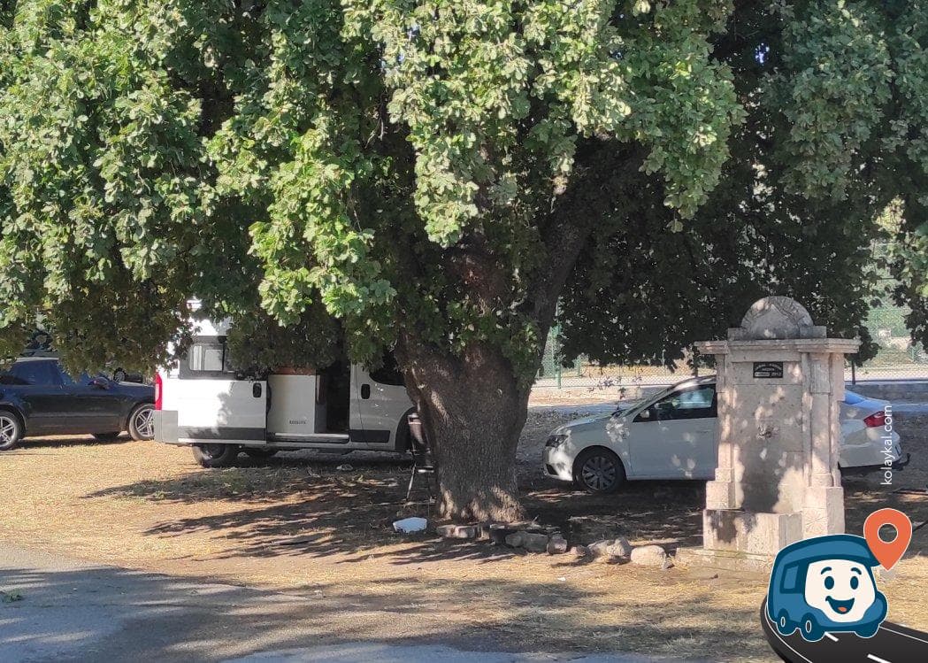 Altınoluk Ören Sahili Meşe Ağaçları Arası Ücretsiz Otopark - Burhaniye, Balıkesir, foto 1