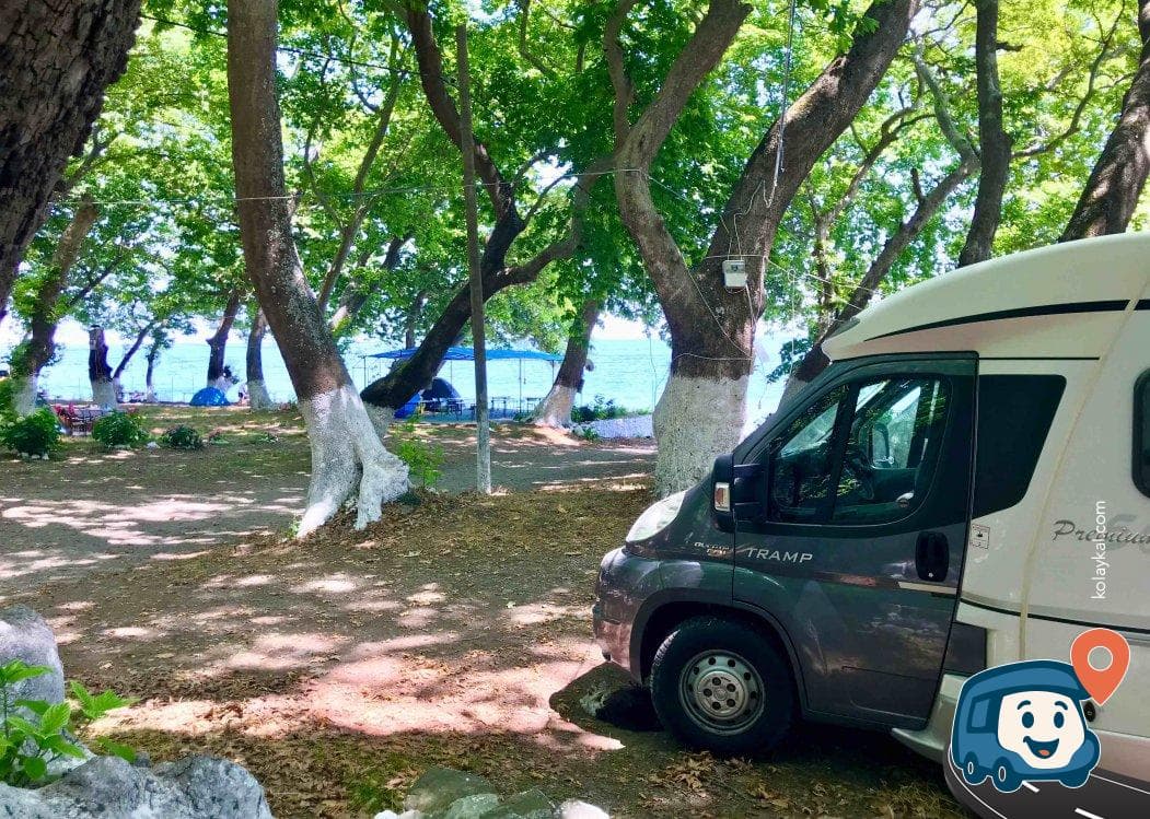 Çınar Kamping - Şarköy, Tekirdağ, foto 3