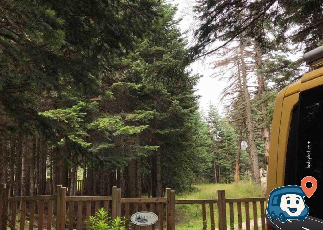 Sarıalan Kamp Alanı - Osmangazi̇, Bursa, foto 2