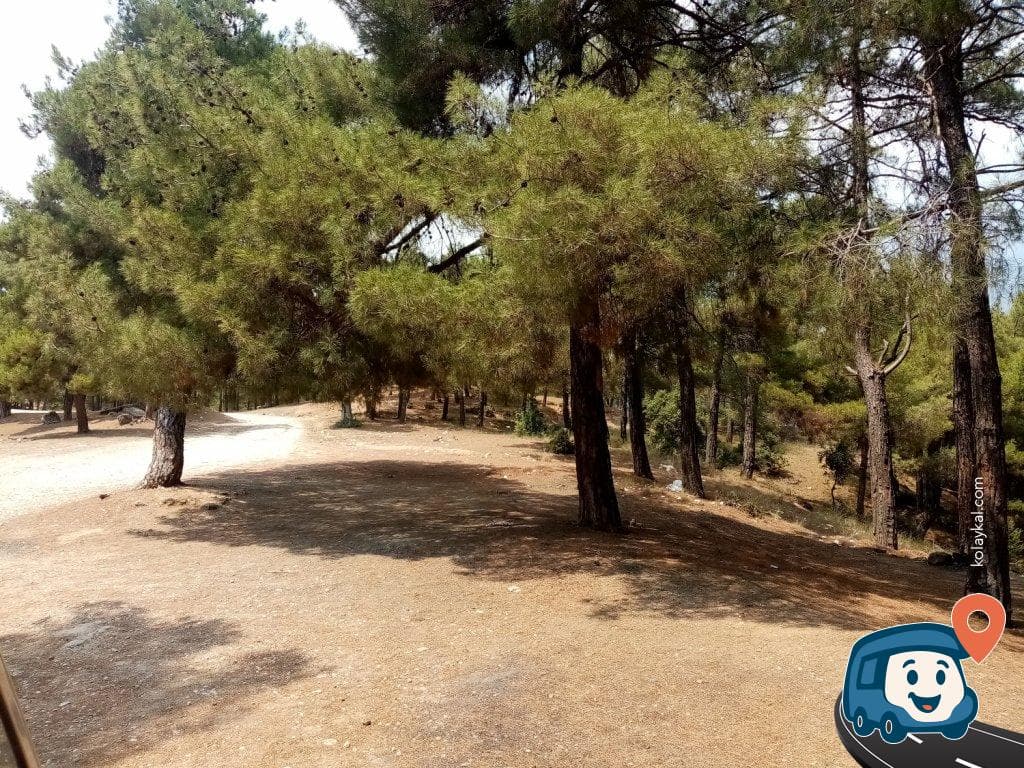 Orman İçi Kamp ve Mola Yeri - Tarsus, Mersin, foto 1