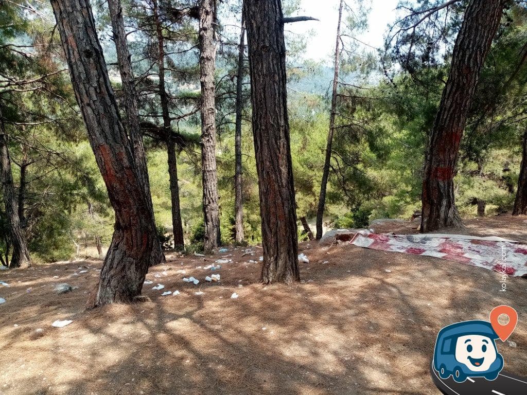 Orman İçi Kamp ve Mola Yeri - Tarsus, Mersin, foto 2