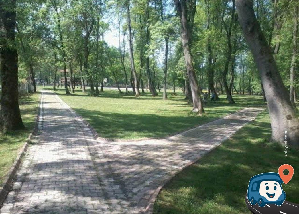 Bartın Zonguldak Yolu Serbest Piknik Alanı ve Otoparkı - Çaycuma, foto 1