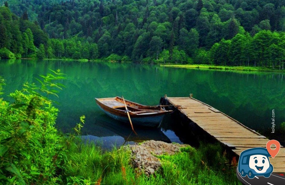 Karagöl Sahara Milli Parkı Kamp Alanı - Şavşat, Artvin, foto 1