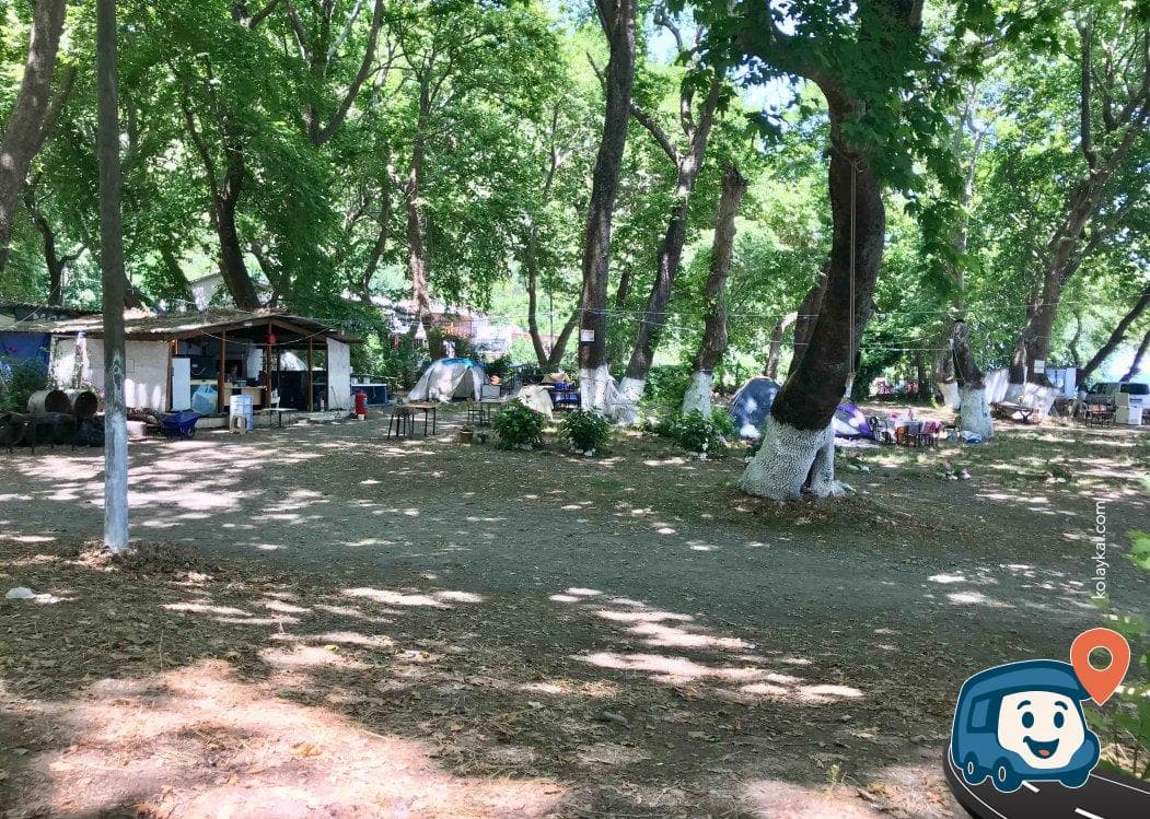 Çınar Kamping - Şarköy, Tekirdağ, foto 2