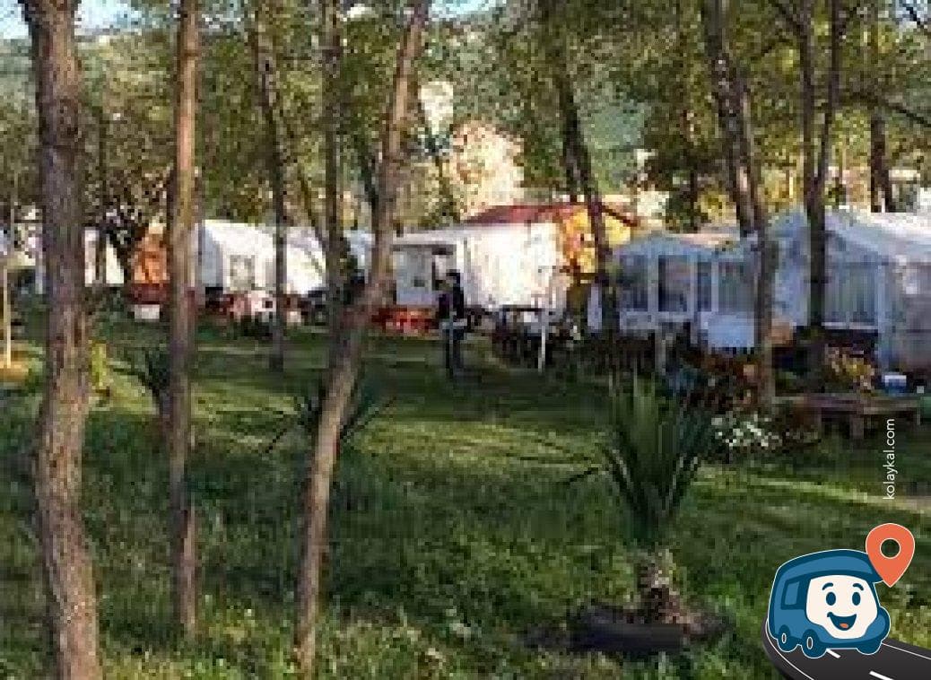 Aybastı Perşembe Yaylası Kamp Alanı - Ordu, foto 2