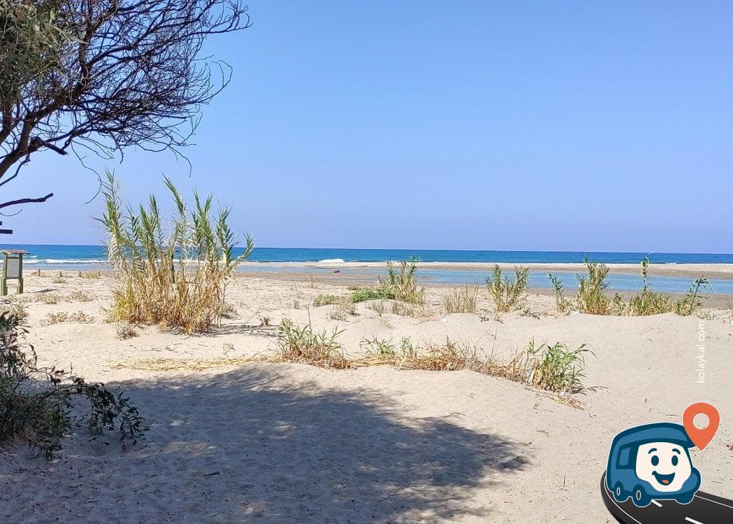 Patara Çayağzı Kamp Alanı - Kaş, Antalya, foto 1