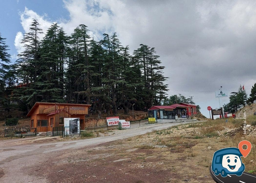 Cedrus Life Kamp ve Karavan Alanı - Erdemli, Mersin, foto 1