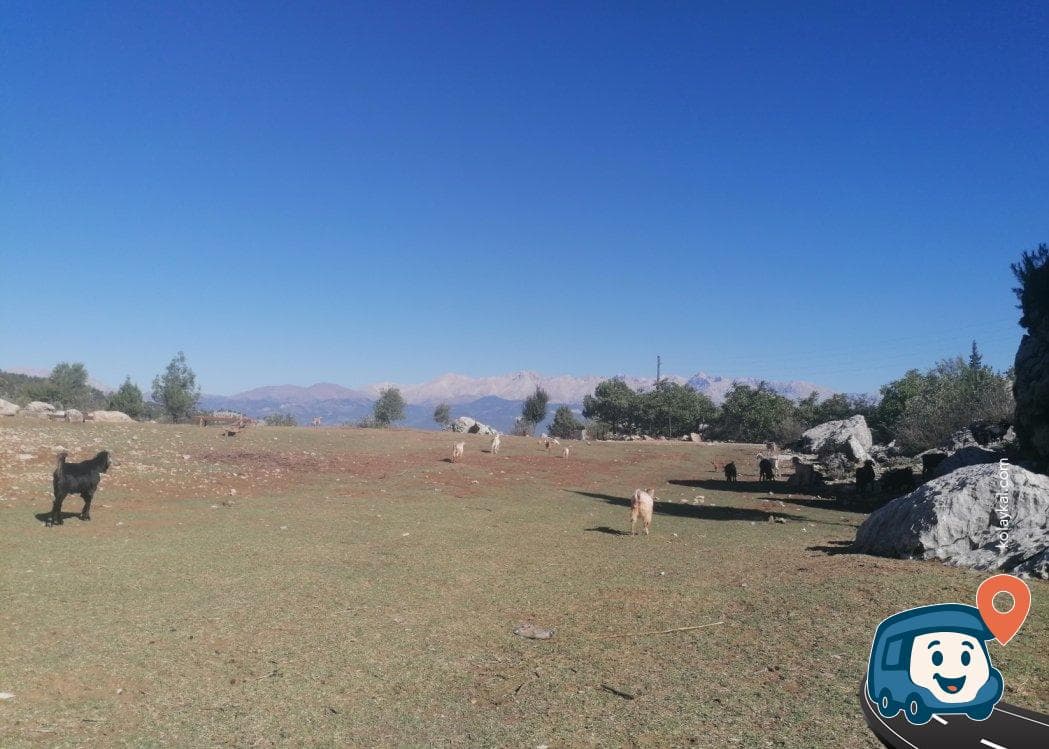 Aladağlar Doğal Kamp Alanı - Adana, foto 2