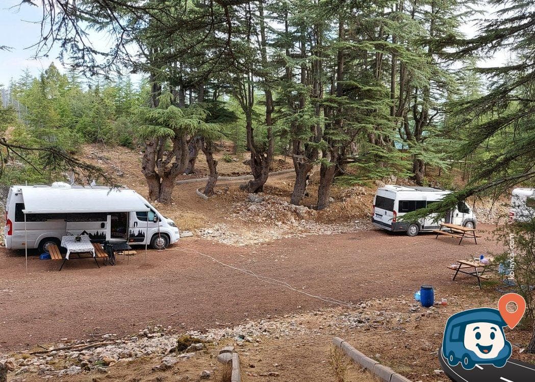 Cedrus Life Kamp ve Karavan Alanı - Erdemli, Mersin, foto 2