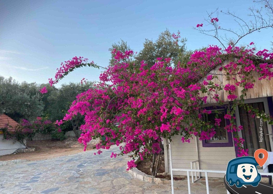Kaş Camping - Antalya, foto 12