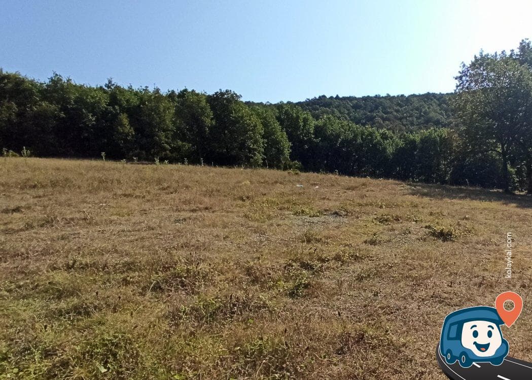 Orman İçinde Göl Kenarı Kamp ve Dinlenme Alanı - Gebze, Kocaeli, foto 1
