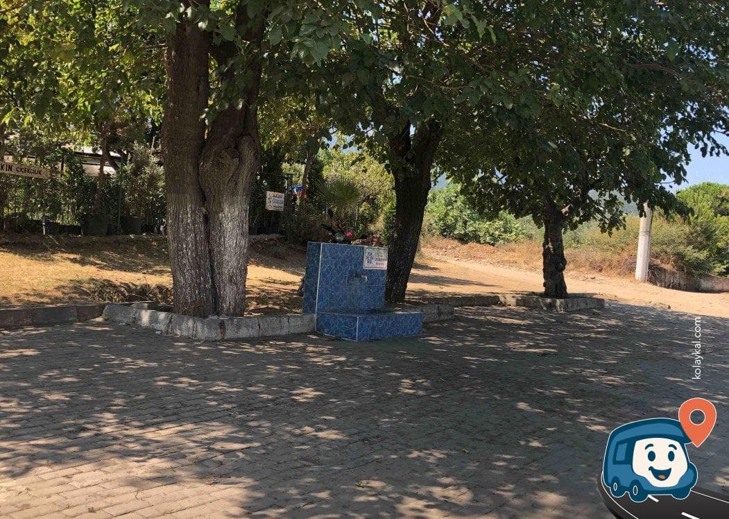 Aydın Su Kaynağı ve Piknik Alanı - Kuşadası, foto 1
