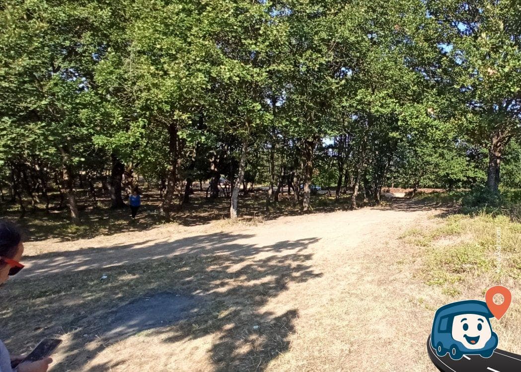 Orman İçinde Göl Kenarı Kamp ve Dinlenme Alanı - Gebze, Kocaeli, foto 3