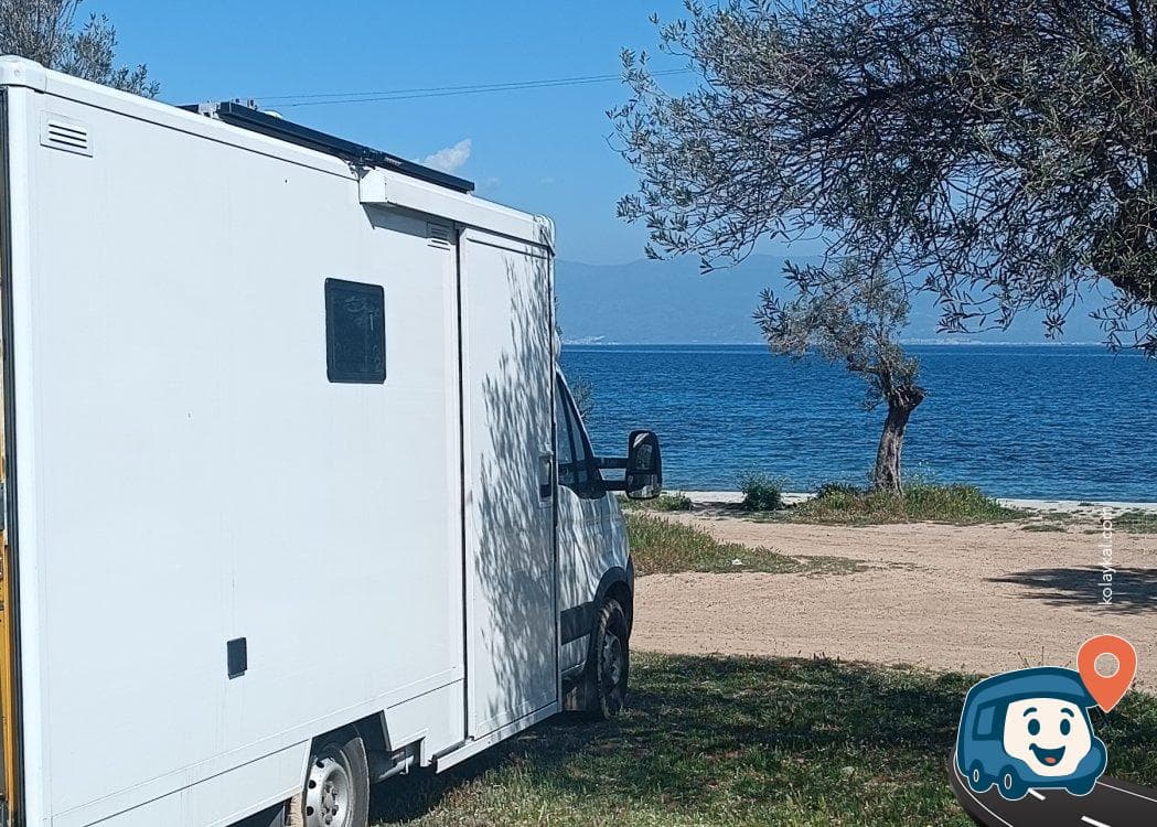 Zeytin Ağaçları Altında Sahil Kampı - Gömeç, Balıkesir, foto 5
