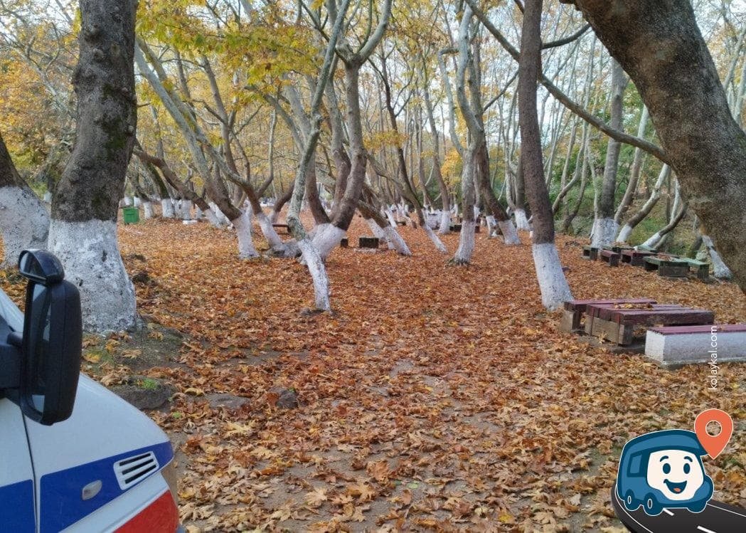 Çaylak Şelalesi ve Mesire Yeri - Susurluk, Balıkesir, foto 2