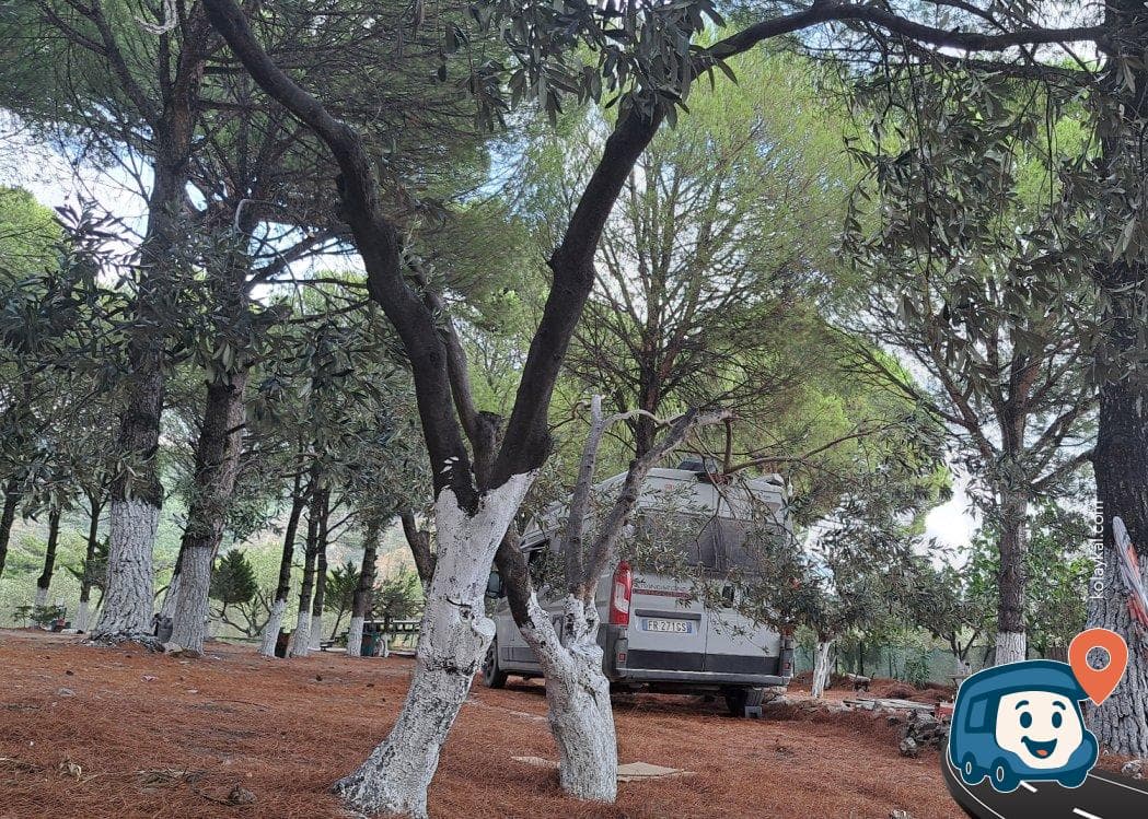 Pine Garden Camping ve Restaurant - Edremit, Balıkesir, foto 4