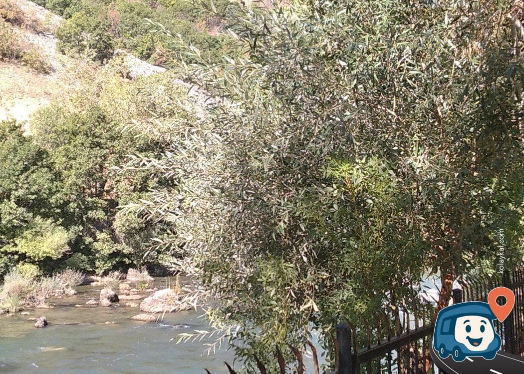 Munzur Vadisi Kenarı Kamp Alanı - Tunceli Merkez, Tunceli, foto 4