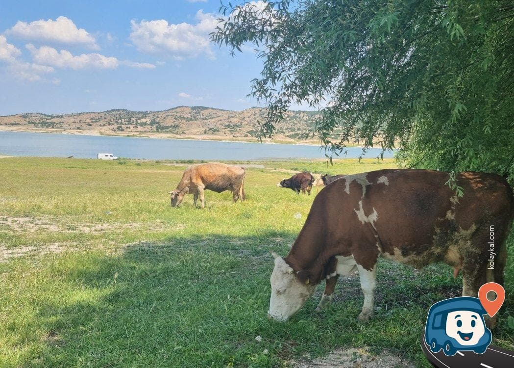 Göl Kenarı Vahşi Kamp Yeri - Kütahya Merkez, Kütahya, foto 9