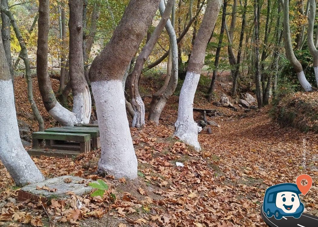 Çaylak Şelalesi ve Mesire Yeri - Susurluk, Balıkesir, foto 3