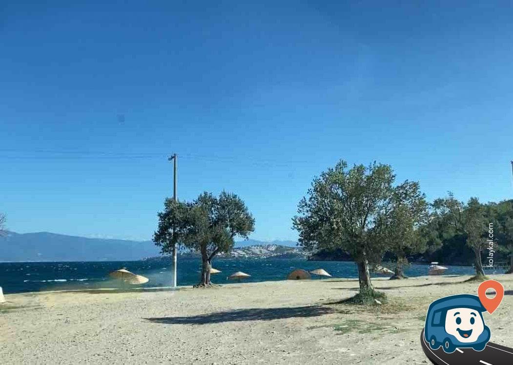 Zeytin Ağaçları Altında Sahil Kampı - Gömeç, Balıkesir, foto 3