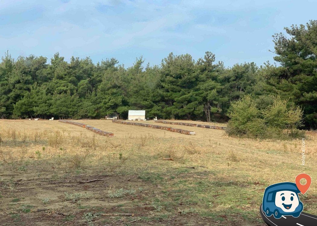 Arı Kovanları Yanı Orman Kamp Alanı - Eceabat, Çanakkale, foto 2