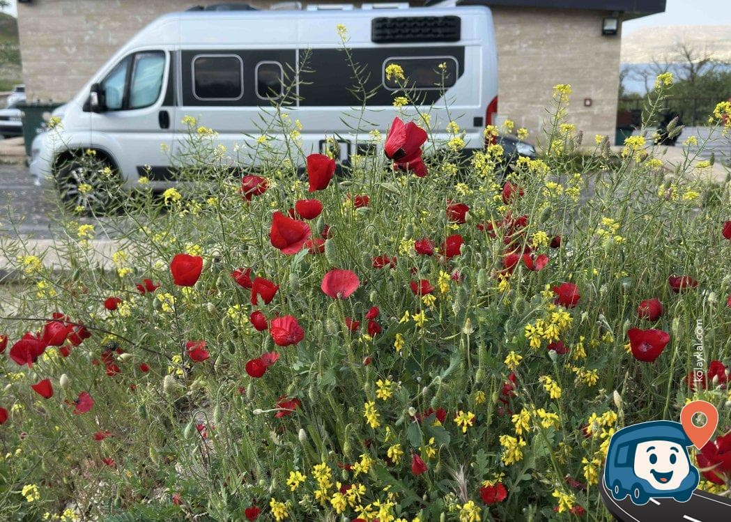 Zeugma Antik Kenti Otopark ve Mola Noktası - Nizip, Gaziantep, foto 5