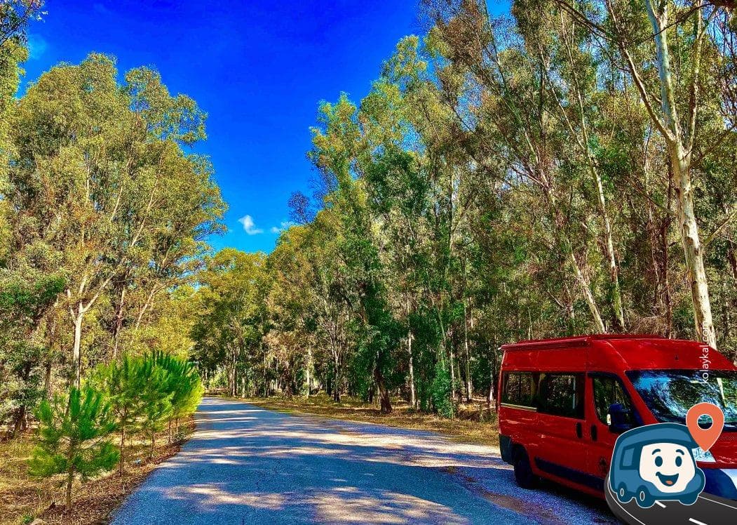 Günübirlik Piknik Alanı - Çiğli, İzmir, foto 2