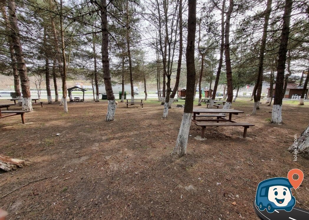 Dinlenme Tesisi ve Piknik Alanı - Kavak, Samsun, foto 4
