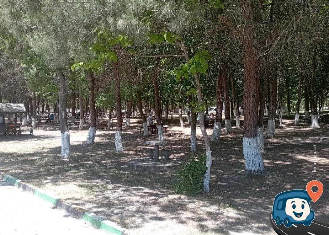 Dinlenme Tesisi ve Piknik Alanı - Kavak, Samsun, foto 5