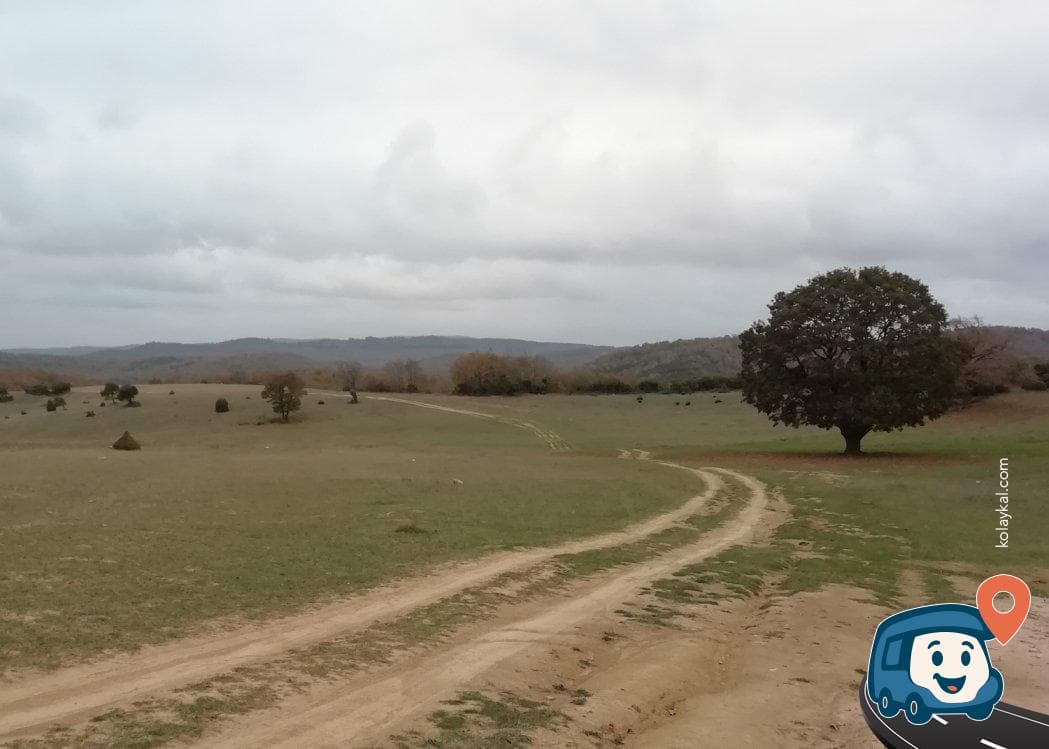 Off Road Etkinlik Pisti - Gebze, Kocaeli, foto 2