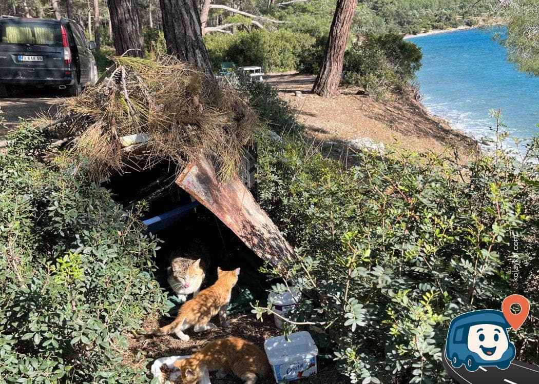 Gürçamlar Sahili Kamp Alanı - Milas, Muğla, foto 5